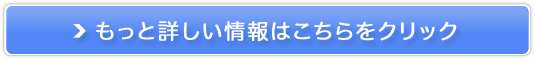 mLA̔TCg